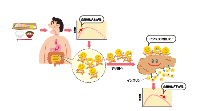 GLP-1受容体作動薬