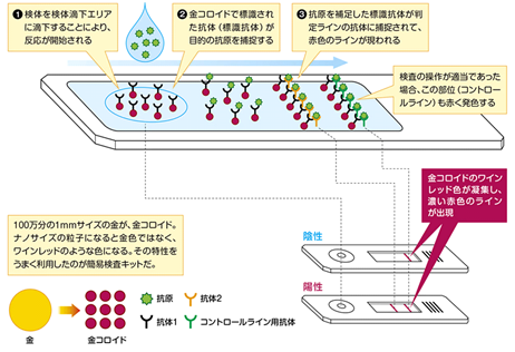 抗原検査