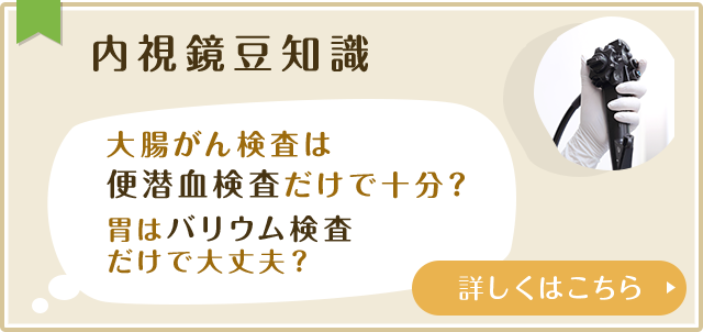 内視鏡豆知識